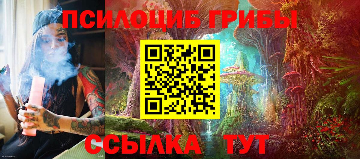 Галлюциногенные грибы мицелий  Вход с VPN  Елец 
