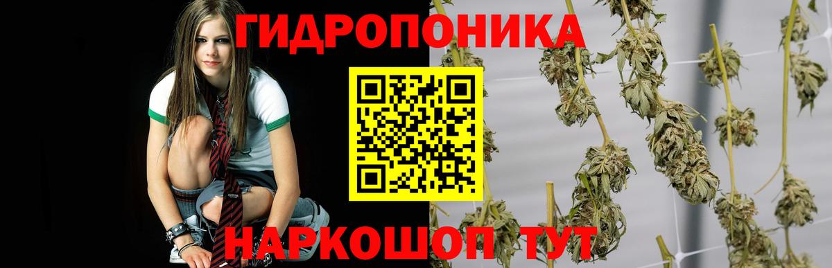 Бошки Шишки White Widow Елец